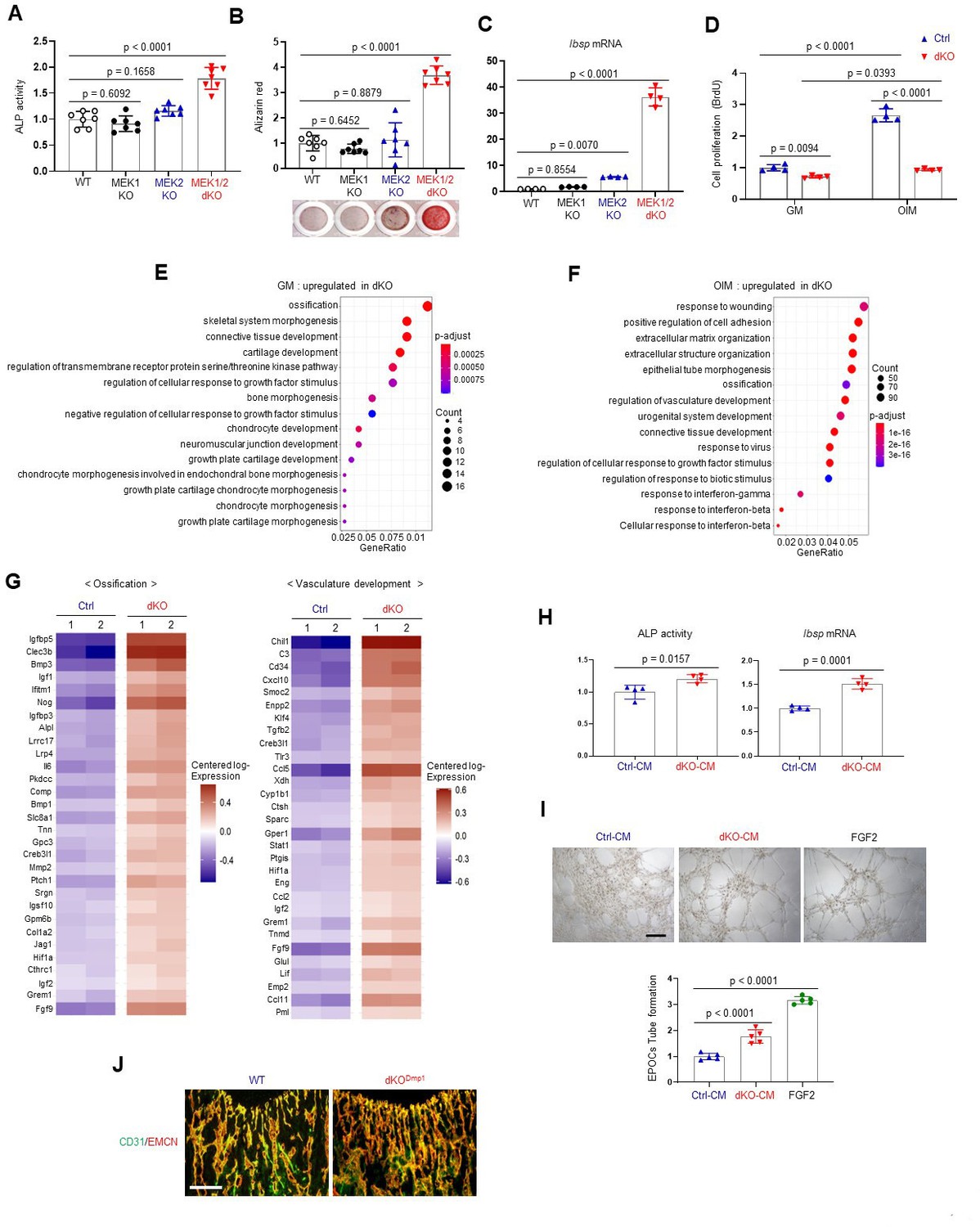 - order page - RAS Oncogenic translation directs spliceosome dynamics revealing