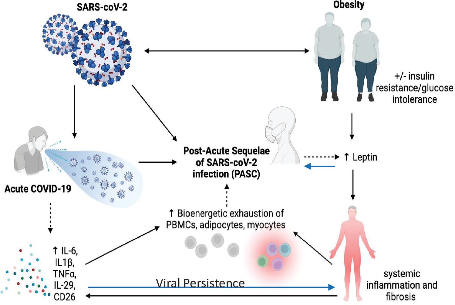 Post acute sequelae of COVID 19 A metabolic perspective eLife