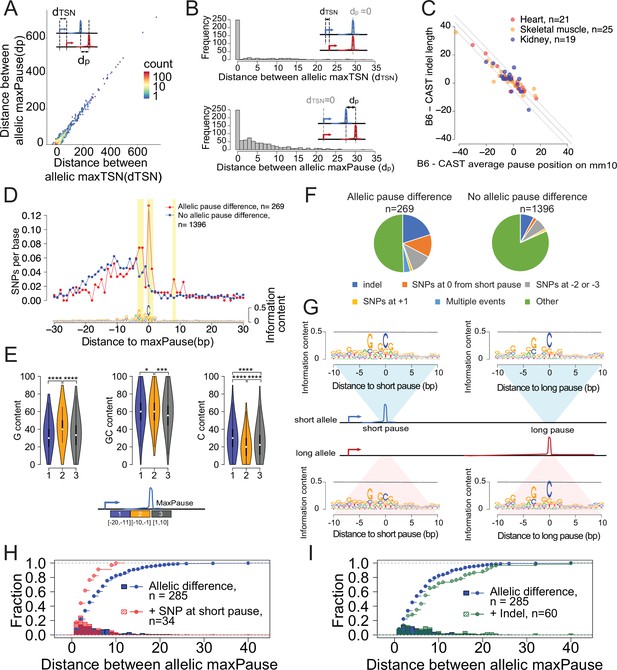 Genetic dissection of the RNA polymerase II transcription cycle | eLife