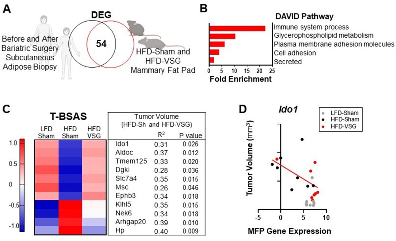 Response To Immune Checkpoint Blockade Improved In Pre-clinical Model ...