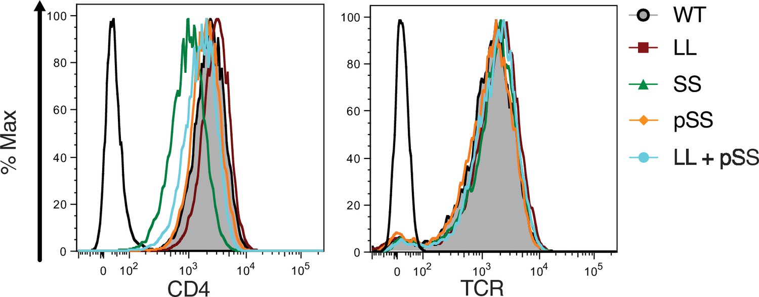 Figures And Data In Enhancing And Inhibitory Motifs Regulate Cd