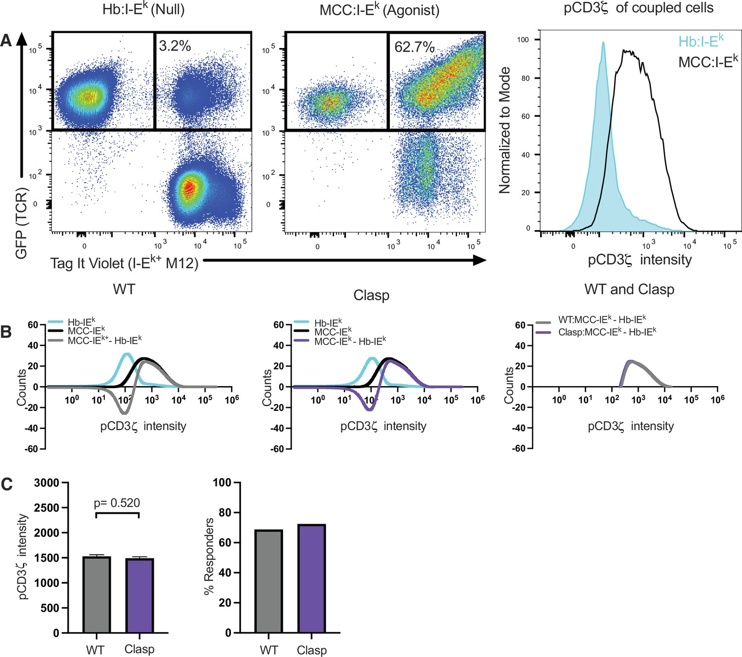 Figures and data in Enhancing and inhibitory motifs regulate CD4 ...