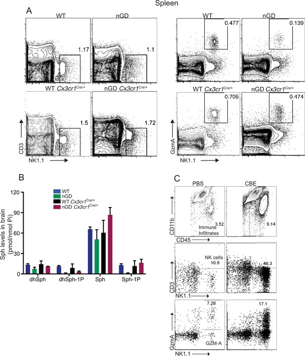 Figures And Data In Neuroinflammation In Neuronopathic Gaucher Disease ...