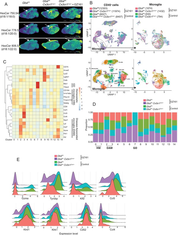 Figures And Data In Neuroinflammation In Neuronopathic Gaucher Disease ...