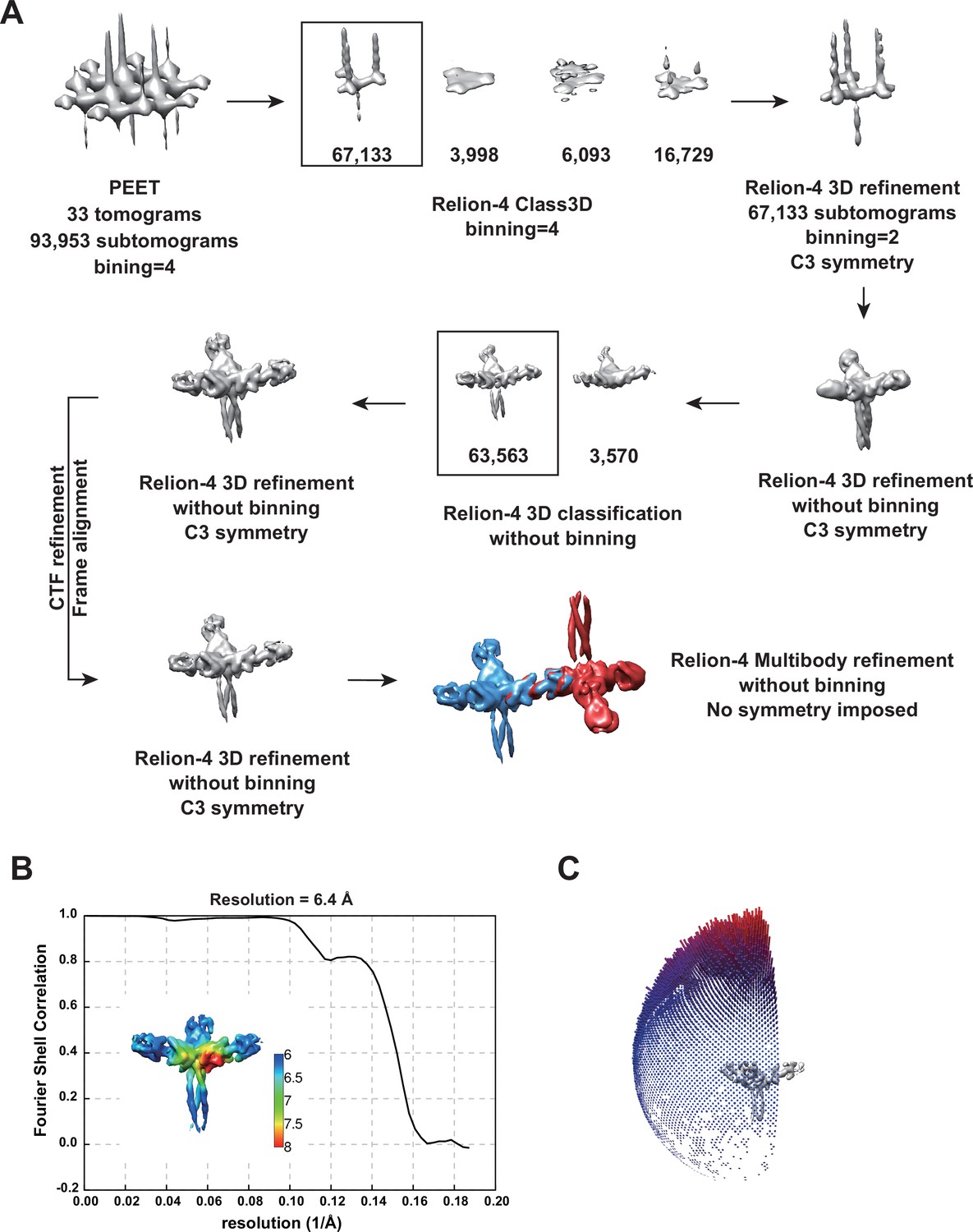 Figures And Data In Cryo-electron Tomography Of Birbeck Granules ...