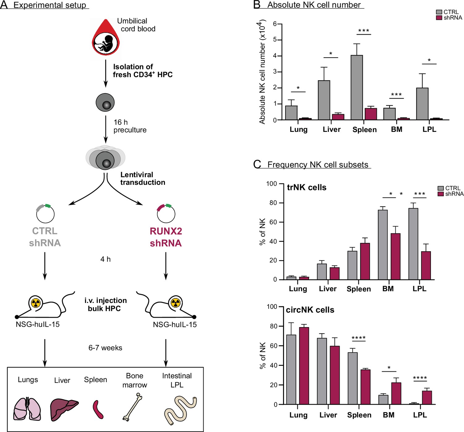 The Transcription Factor RUNX2 Drives The Generation Of Human NK Cells