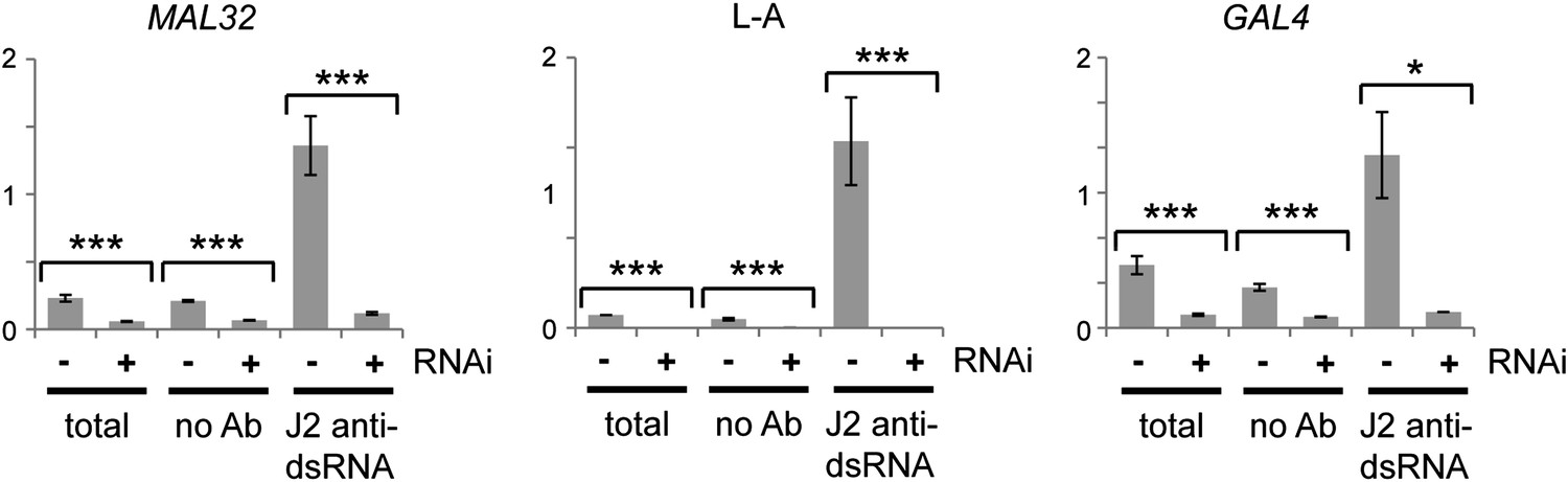 Endogenous Rna Interference Is Driven By Copy Number Elife