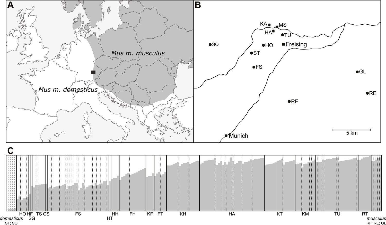 Genome Wide Ming In A House Mouse Hybrid Zone Reveals Geographic Location Of And Genetic Makeup Ming Potion