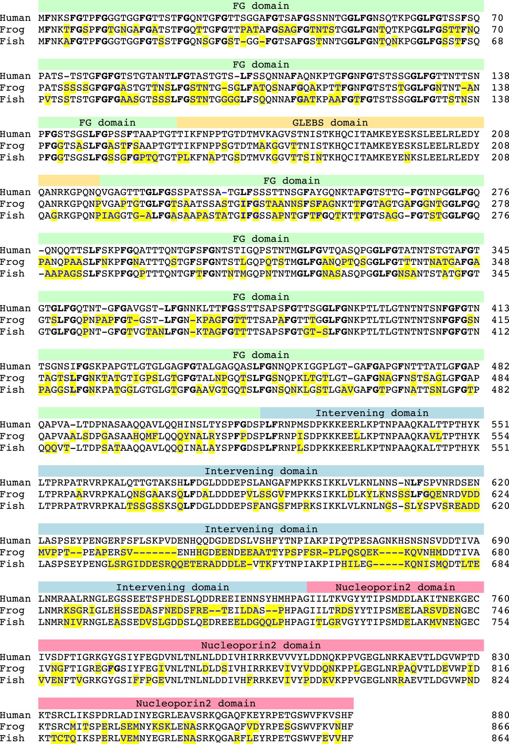 Nup98 Fg Domains From Diverse Species Spontaneously Phase Separate