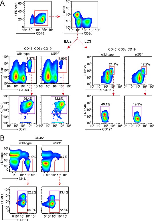 Figures and data in The basic leucine zipper transcription 