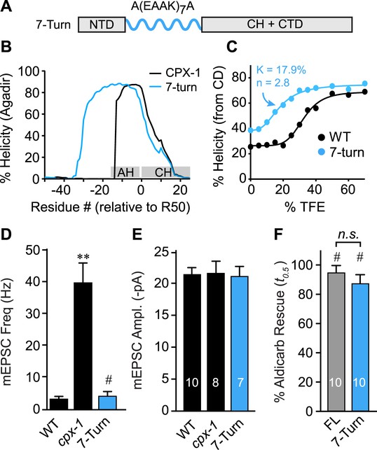 The accessory helix of complexin functions by stabilizing central helix ...