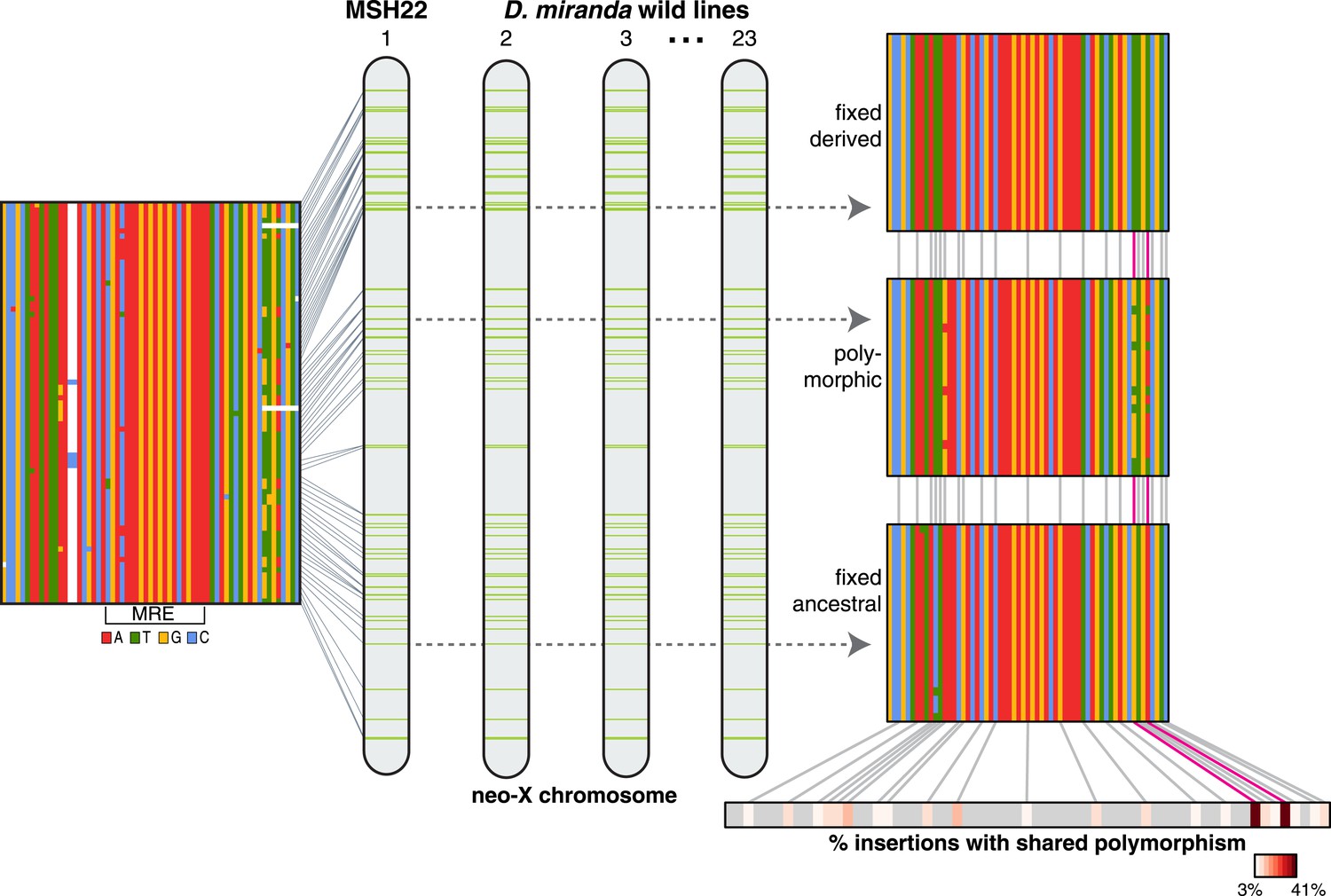 book new software engineering paradigm based on complexity science