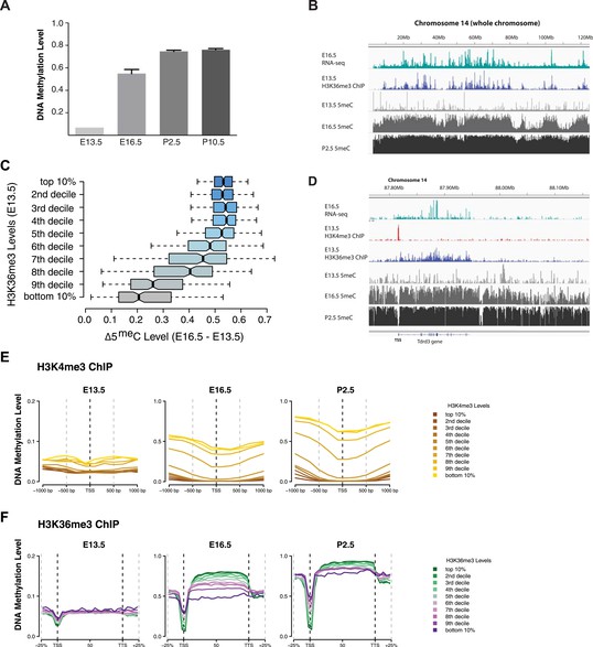 Figures and data in In vivo targeting of de novo DNA methylation by ...