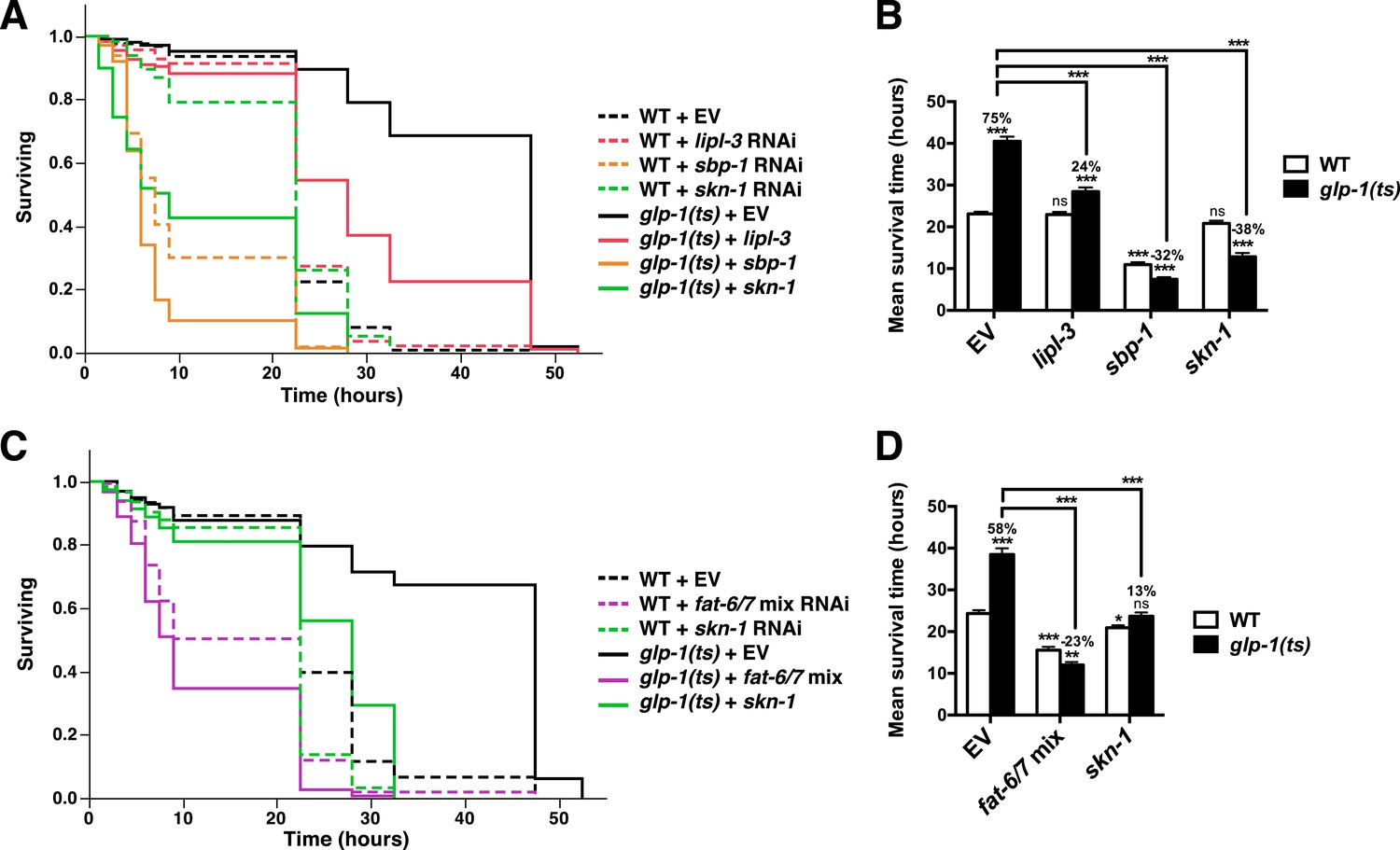Lipid Mediated Regulation Of Skn 1 Nrf In Response To Germ Cell