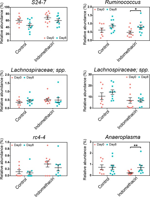 Bidirectional Interactions Between Indomethacin And The Murine Intestinal Microbiota Elife