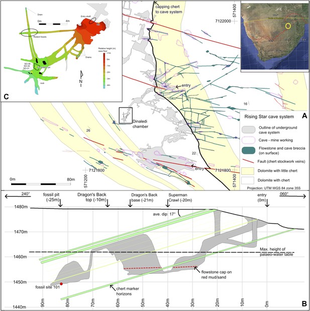 Geological and taphonomic context for the new hominin species Homo ...