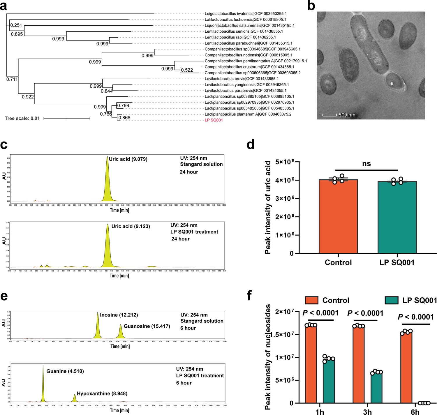 Host-derived Lactobacillus plantarum alleviates