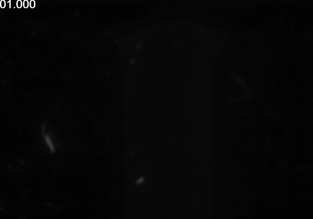posterframe for video