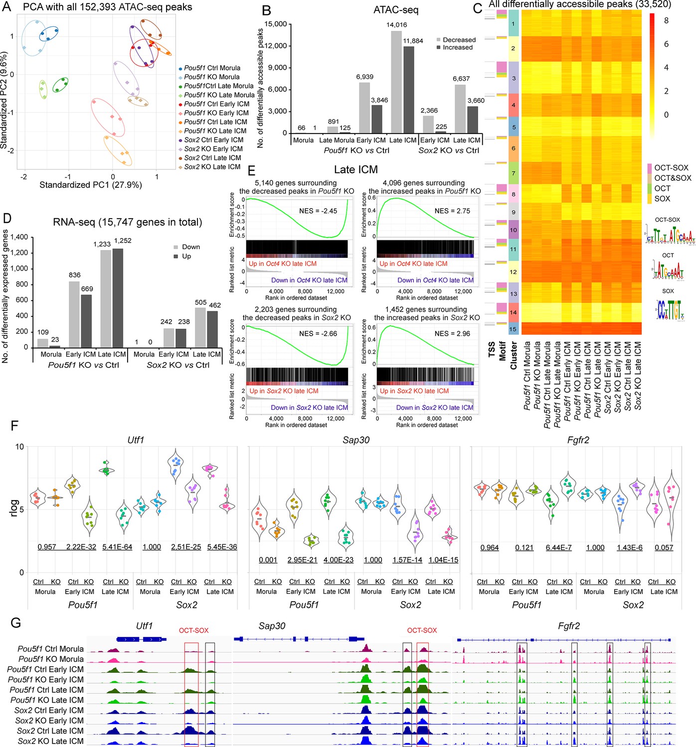 Frontiers | Biomarkers of lymph node metastasis in