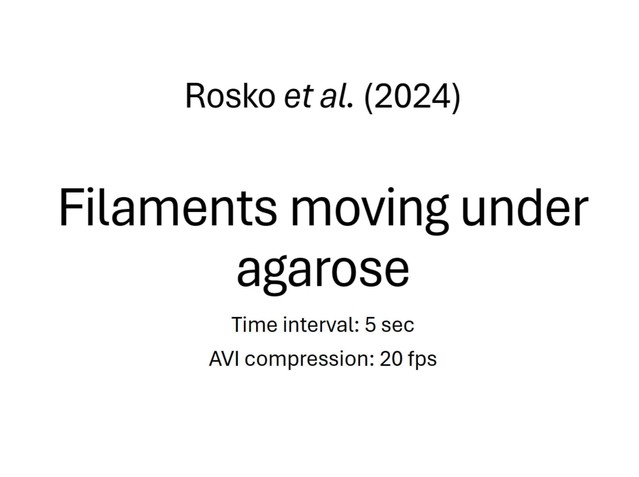 posterframe for video