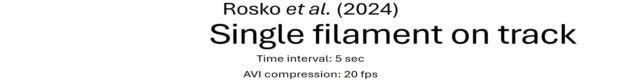 posterframe for video