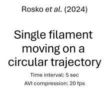 posterframe for video