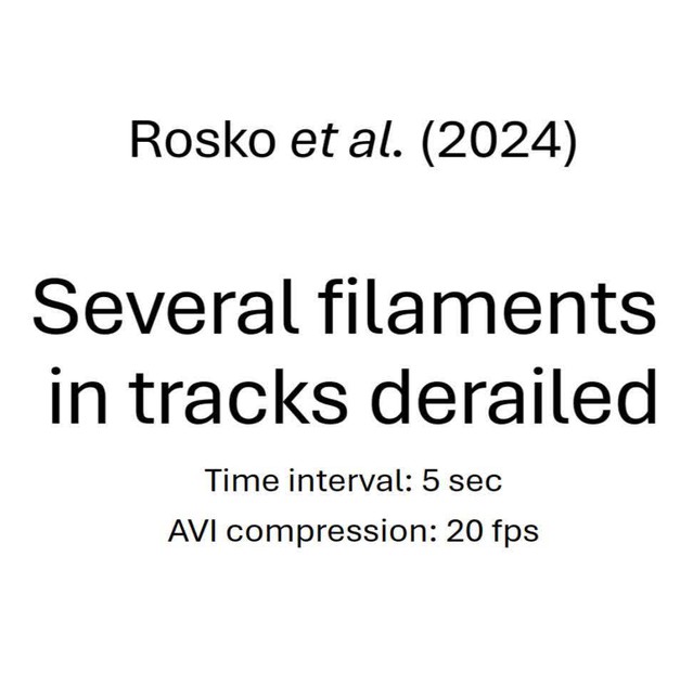 posterframe for video
