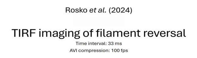 posterframe for video