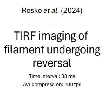 posterframe for video
