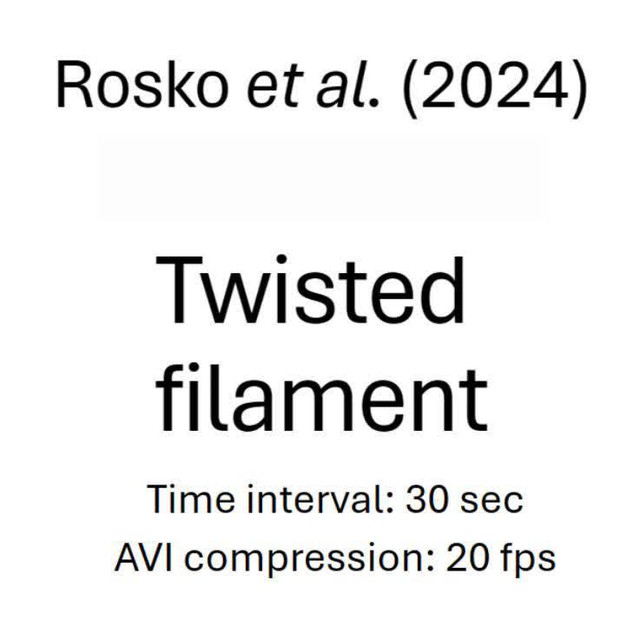 posterframe for video