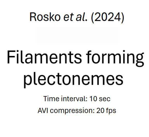 posterframe for video