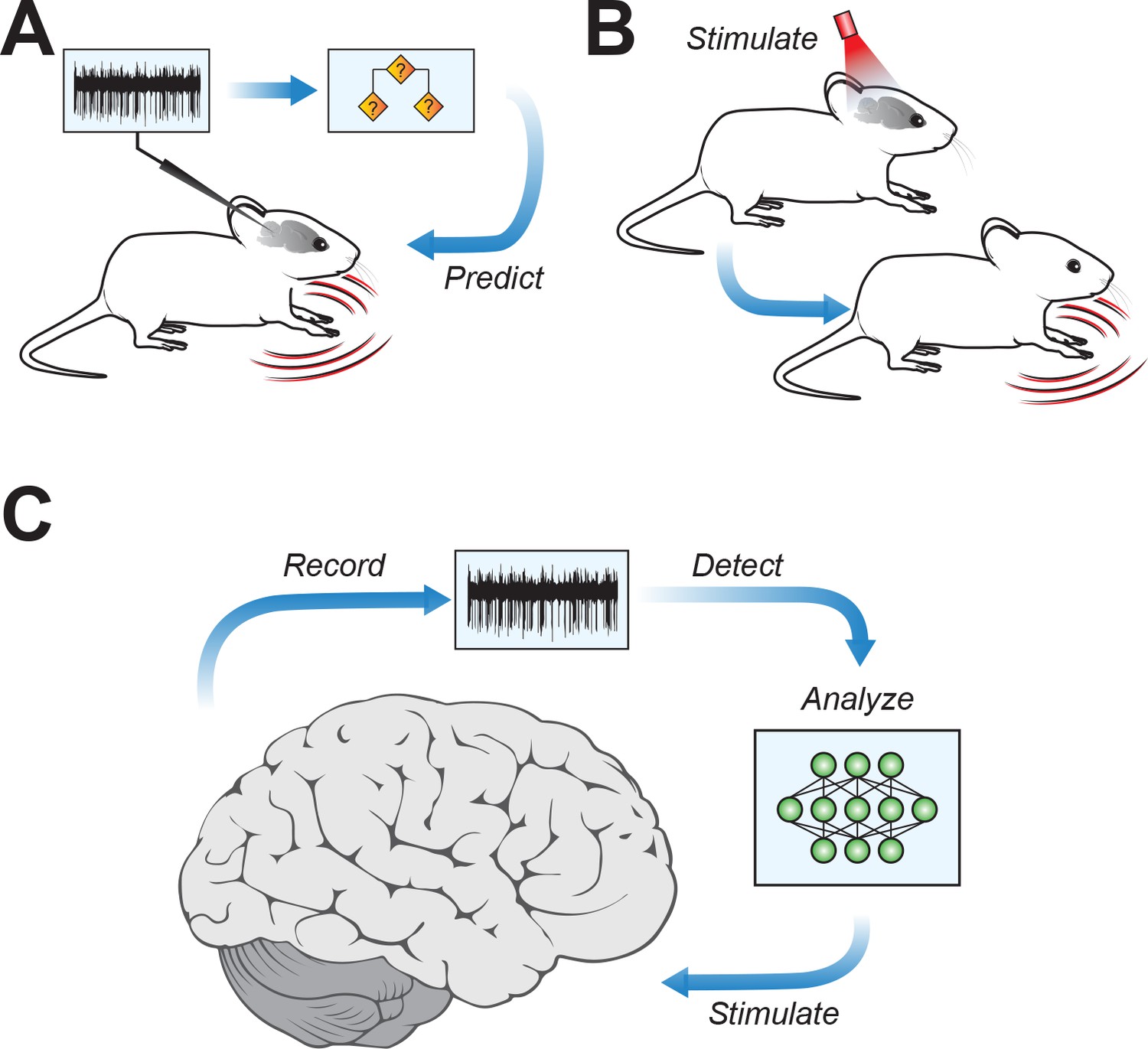 Cerebellum: Linking Abnormal Neural Activity Patterns To Motor Deficits 