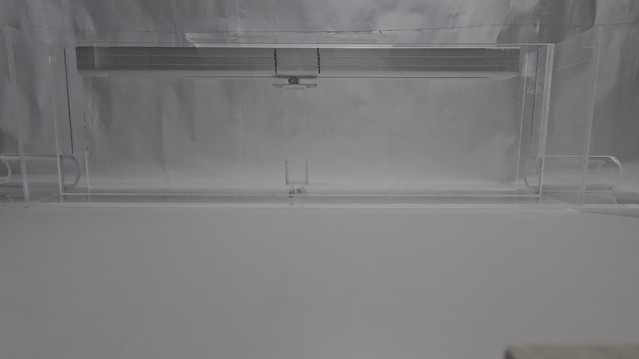 posterframe for video