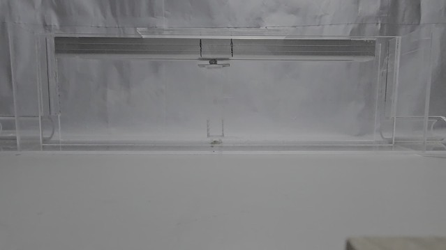 posterframe for video