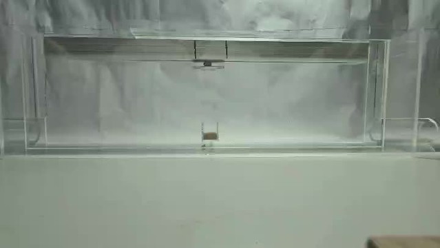 posterframe for video