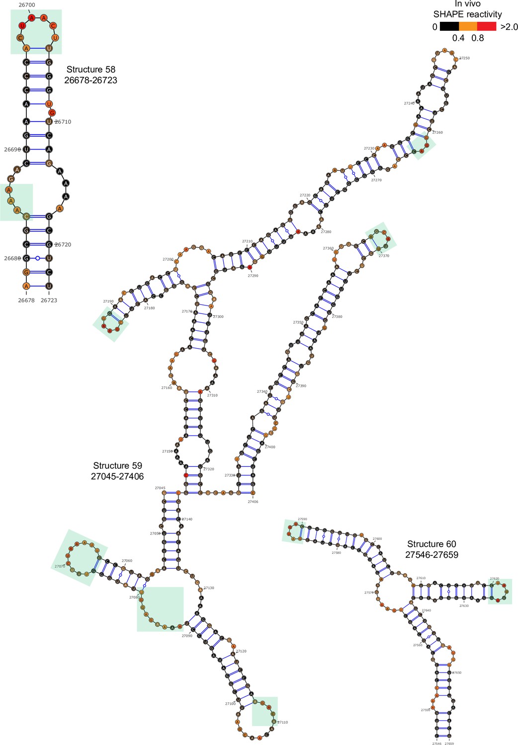 Exploiting functional regions in the viral RNA genome as