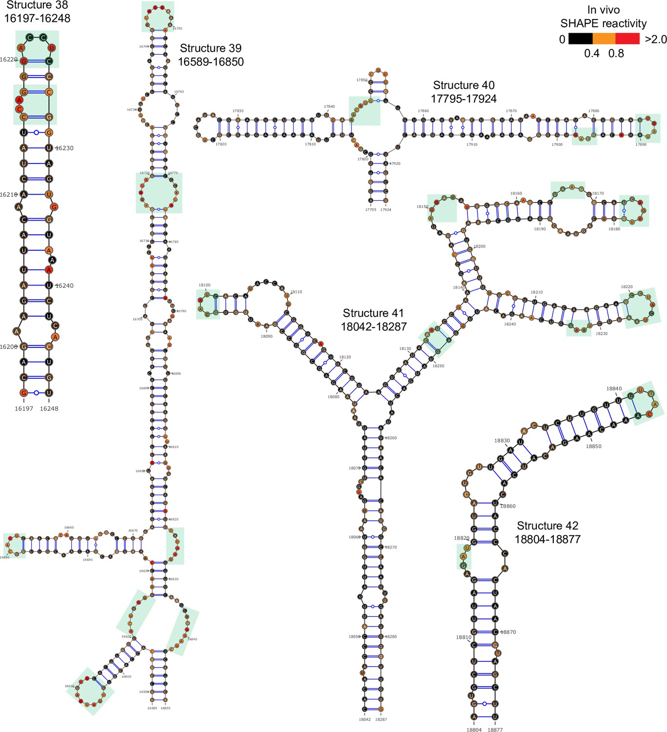 Exploiting functional regions in the viral RNA genome as