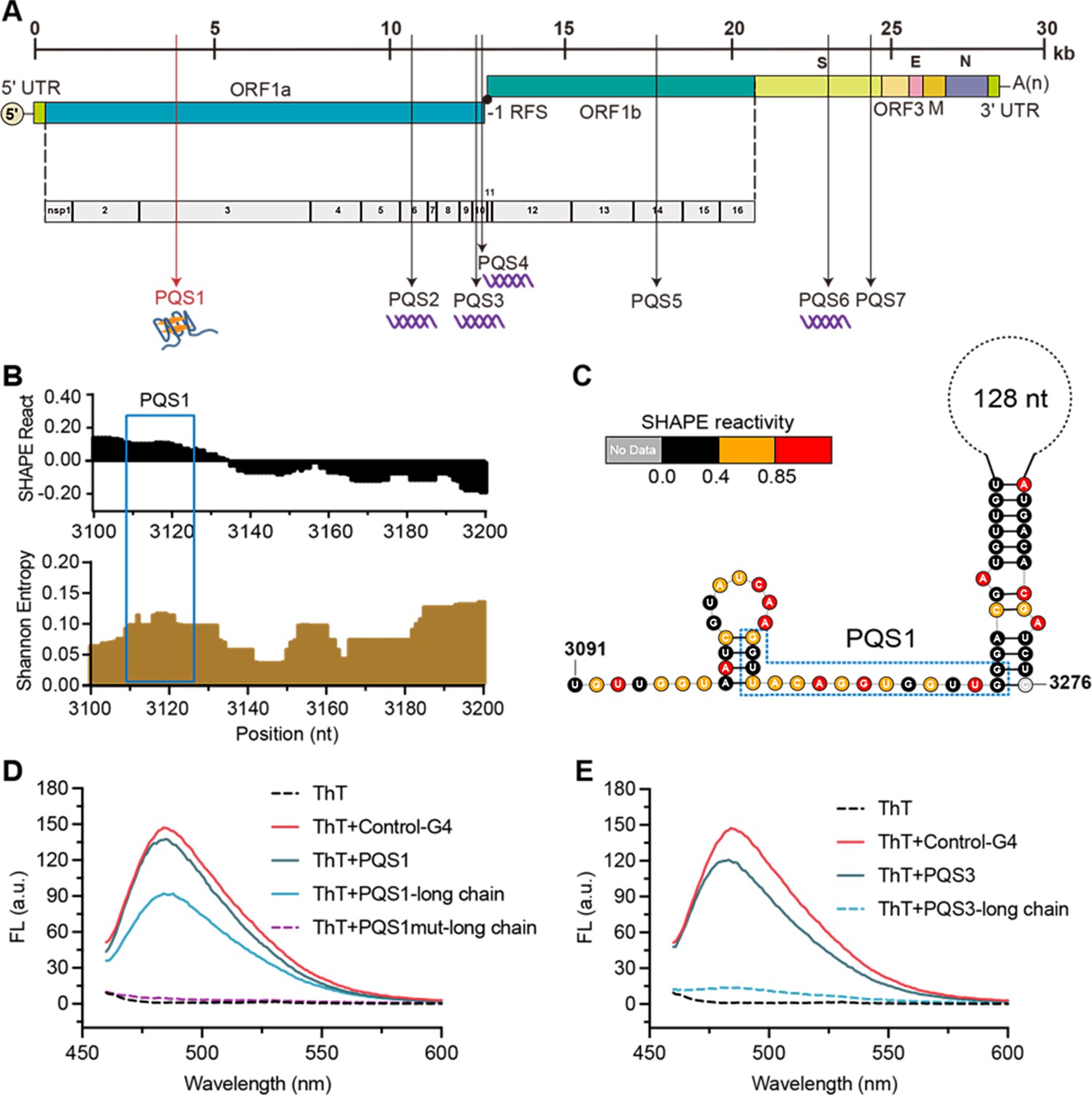 【超特価sale開催】  the in regions functional Exploiting viral as genome RNA 人文