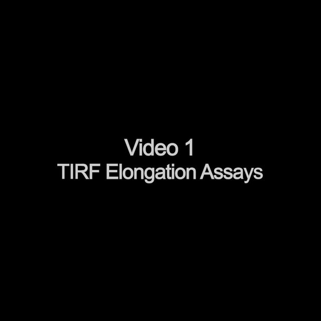 posterframe for video