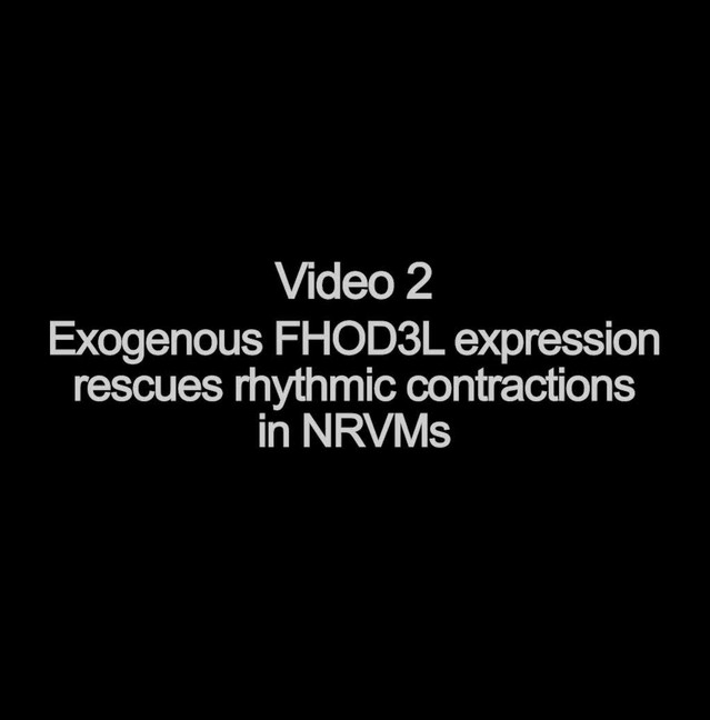 posterframe for video