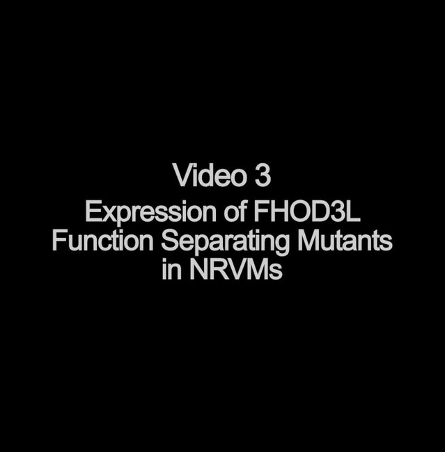 posterframe for video