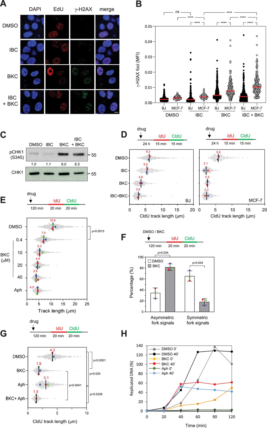 Parental histone transfer caught at the replication fork