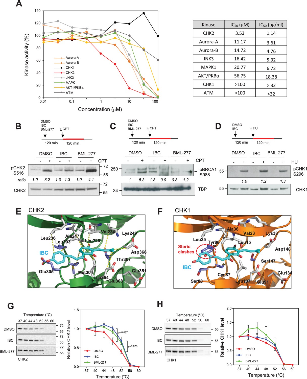 Parental histone transfer caught at the replication fork