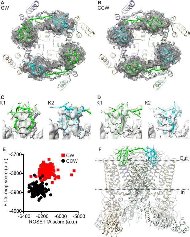 Structural insights into the mechanism of activation of the TRPV1 ...