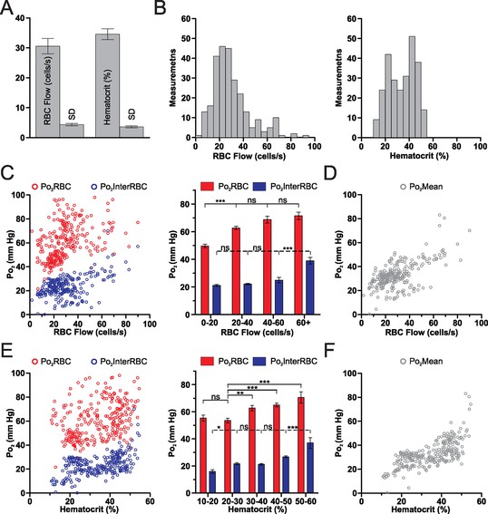 Mapping oxygen concentration in the awake mouse brain | eLife