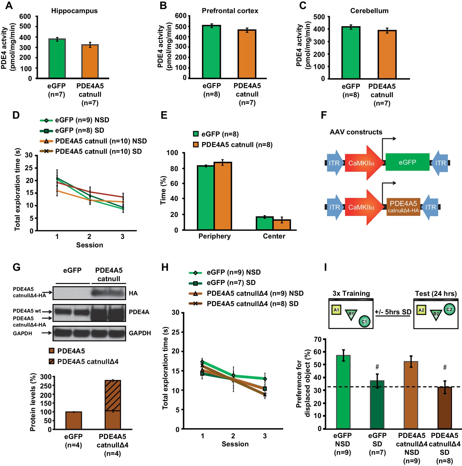 Sleep Deprivation Causes Memory Deficits By Negatively Impacting