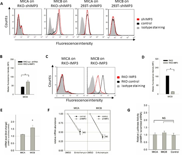 The RNA binding protein IMP3 facilitates tumor immune escape by ...