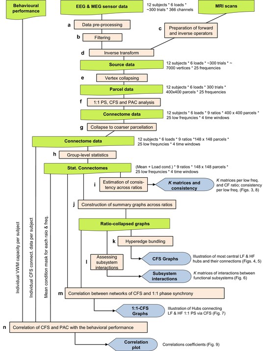 Figures and data in Cross-frequency synchronization connects networks ...