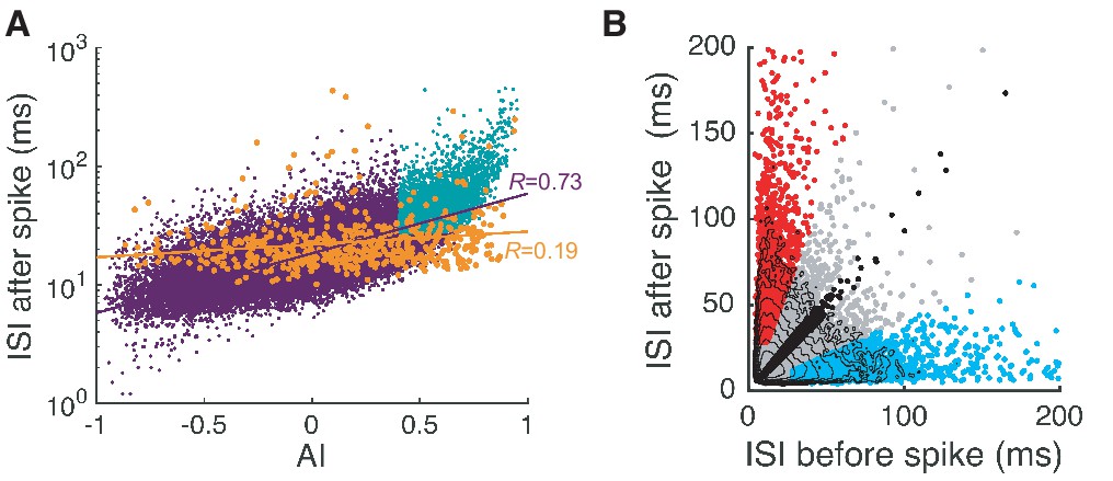Multiplexed Coding By Cerebellar Purkinje Neurons Elife