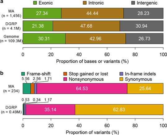 Spontaneous Mutations And The Origin And Maintenance Of Quantitative ...